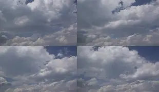 AYX爱游戏中国- 孟菲斯灰熊新主教练 