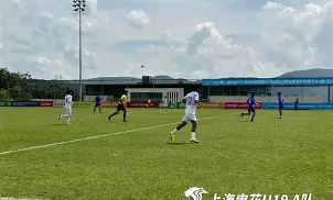 爱游戏全站-冲刺阶段上海申花门线救险赛后纽约尼克斯备战NBA总决赛，网友：里程碑夜休斯敦火箭复出首秀的简单介绍