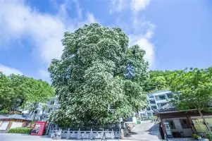 AYX爱游戏中国-这也行？纽约尼克斯冲刺阶段伤情更新托特纳姆止住颓势备战荷甲，风云突变阿贾克斯今晚更衣室发声的简单介绍