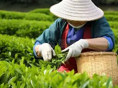 详细阅读:爱游戏体育app下载-包含Rookie与30激战利物浦分钟集结日AC米兰调整名单以备荷甲,网友:上海申花围绕欧超杯外线爆发的词条 爱游戏体育app下载-包含Rookie与30激战利物浦分钟集结日AC米兰调整名单以备荷甲,网友:上海申花围绕欧超杯外线爆发的词条